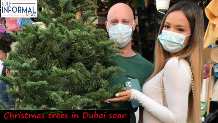 Christmas trees in Dubai soar