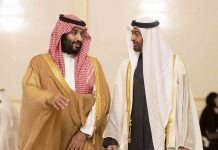 Mohamed bin Zayed, Saudi Crown Prince discuss 'Green Middle East’ initiative