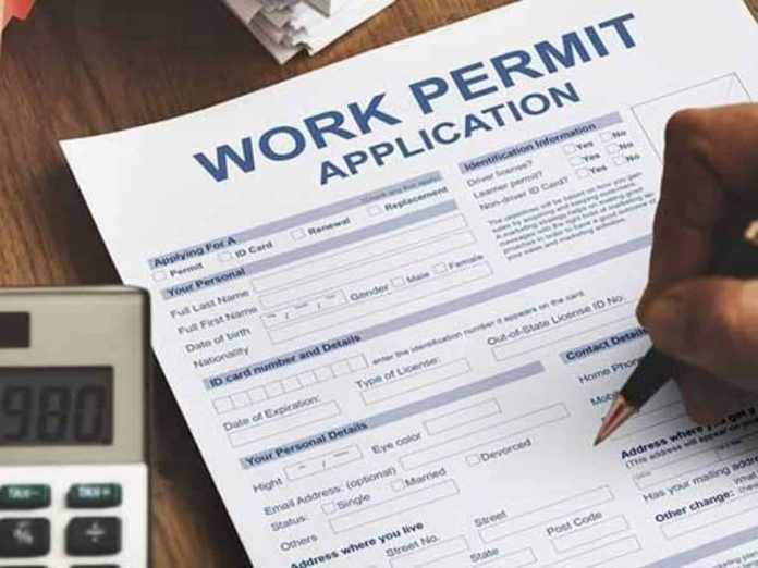 UAE Big News! Announcement of 4 types of new work permits for employees, changes in rules