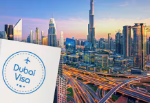 Visa Update: Now it is easy to work in UAE even while staying on a visit visa, know the important rules and procedures