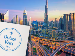 Visa Update: Now it is easy to work in UAE even while staying on a visit visa, know the important rules and procedures